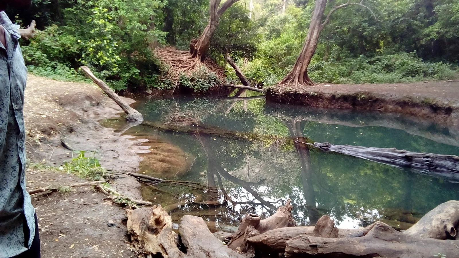 Forty Springs (Kulfo)